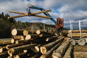 Sustainability at Integrity - a machine moving the logs