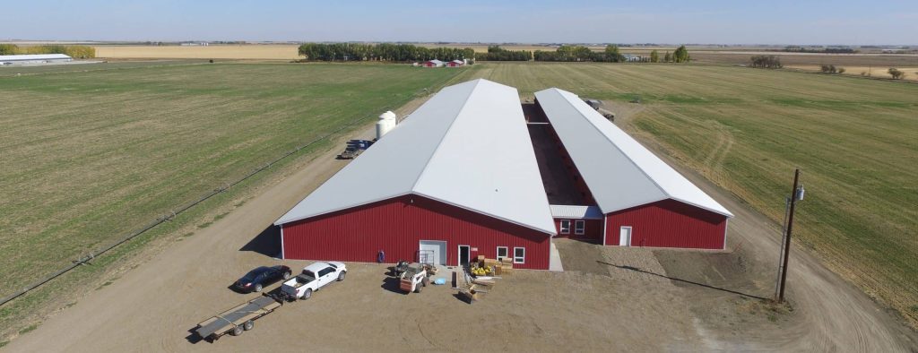 A dark red post-frame equestrian barn with four overhead and four bi-fold doors