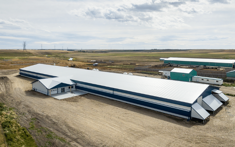 A white white post-frame equestrian barn with soffits and a bi-fold door