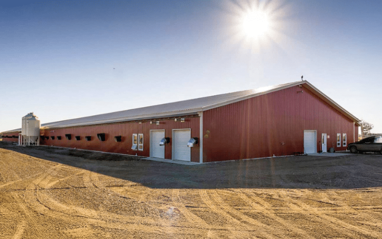 Shady Lane Breeder Farm Inc | Barn near Lethbridge AB