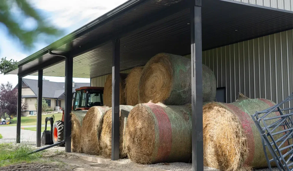 30414 – George Chronik – Shop DSC09253