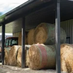 30414 – George Chronik – Shop DSC09253