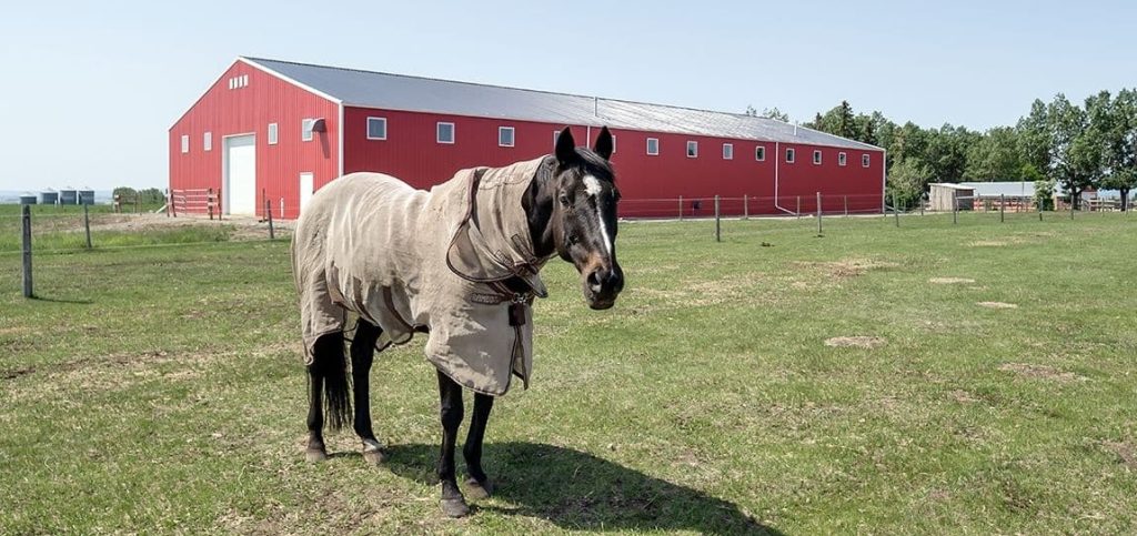 A bright red post-frame riding arena with overhead doors