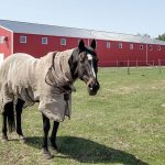 A bright red post-frame riding arena with overhead doors