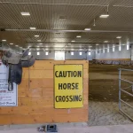A buckskin post-frame riding arena with two overhead doors