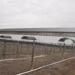 A post-frame equestrian Private Riding Arena