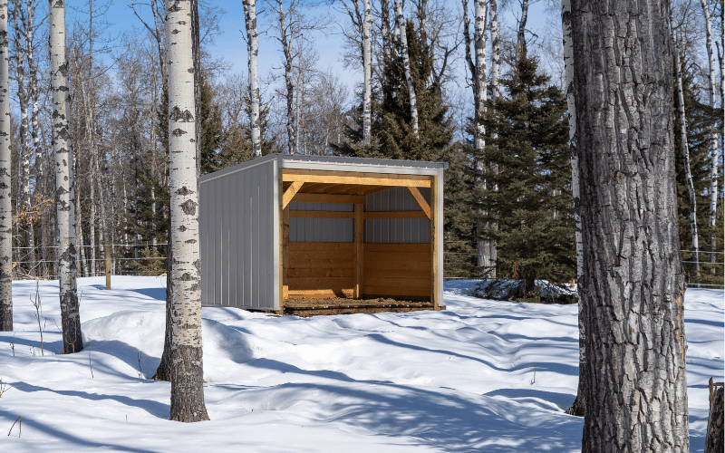 An open-sided post-frame livestock shelter