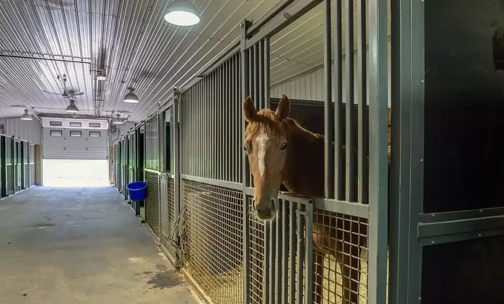 A post-frame equestrian barn with overhead doors and white walls