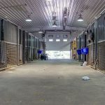 A post-frame equestrian barn with overhead doors and white walls