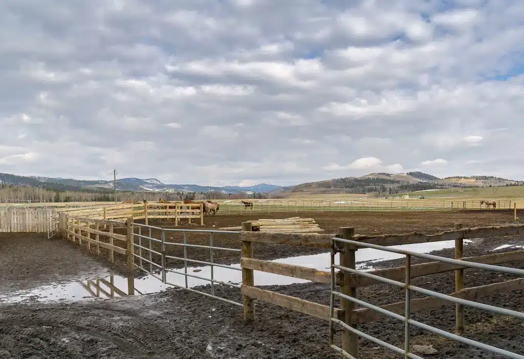 A coffee brown post-frame equestrian riding arena with overhead doors and an open lean-to
