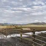 A coffee brown post-frame equestrian riding arena with overhead doors and an open lean-to