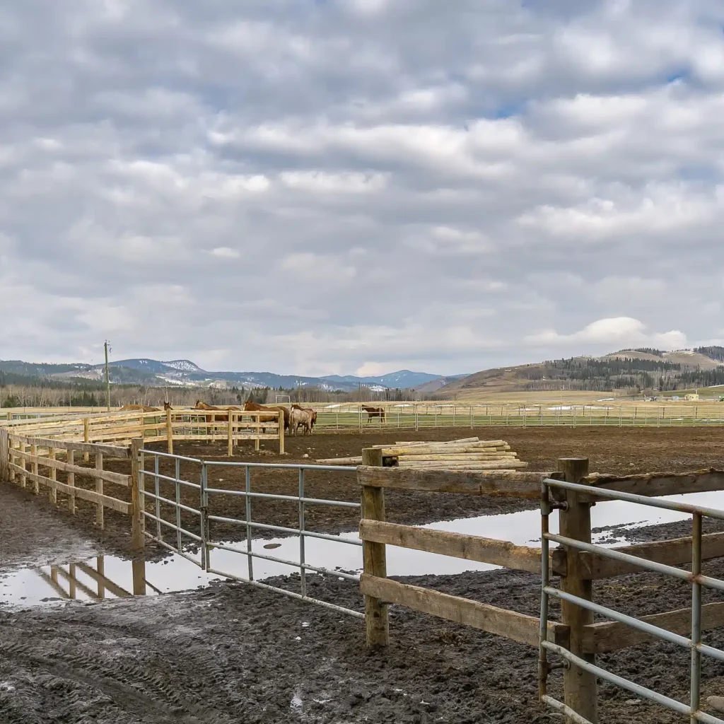 A coffee brown post-frame equestrian riding arena with overhead doors and an open lean-to