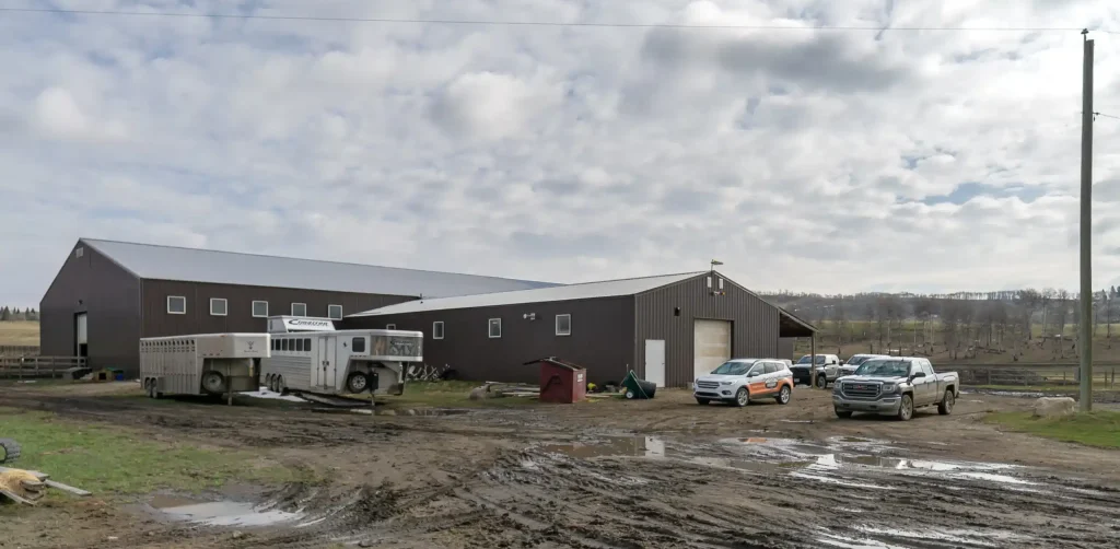 A coffee brown post-frame equestrian riding arena with overhead doors and an open lean-to