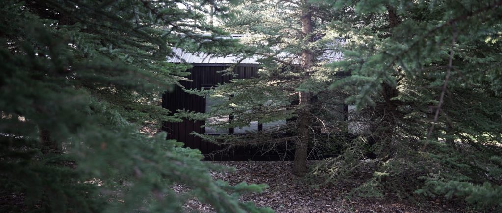 A black post-frame guest house