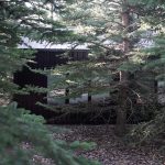 A black post-frame guest house